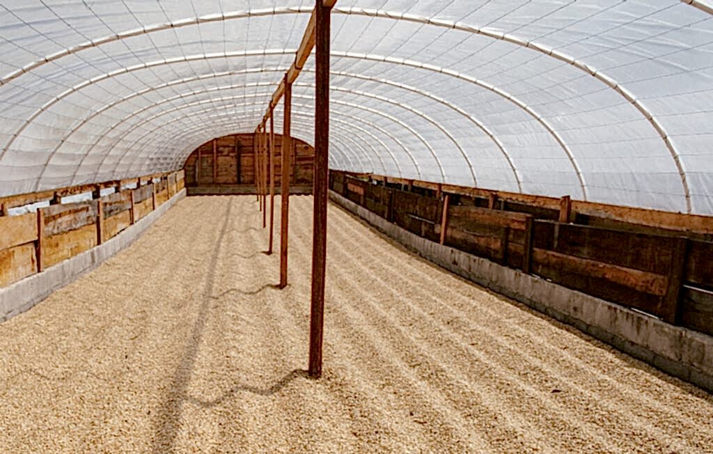 Finca La Bella