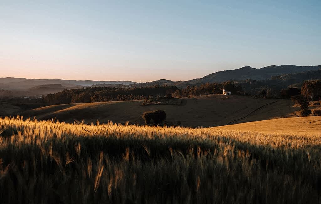 Fazenda Santa Inês